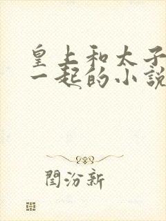 皇上和太子妃在一起的小说有哪些