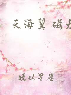 天海翼 磁力