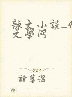 辣文小说_48文学网