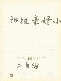 神级豪婿小说 神级豪婿小说