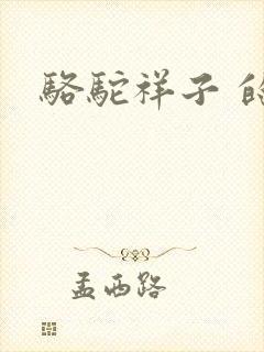 骆驼祥子 的