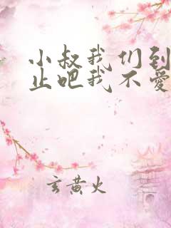 小叔我们到此为止吧我不爱你了小说
