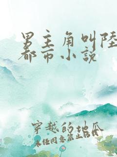 男主角叫陆原的都市小说 男主角叫陆原的都市小说