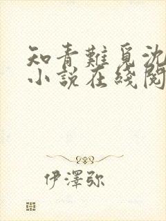 知青难觅沈清涵小说在线阅读免费