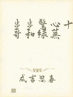 步步惊心十三阿哥和绿芜