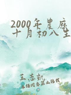 2000年农历十月初八生辰八字