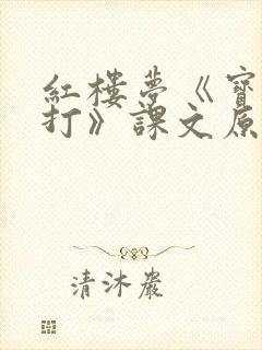 红楼梦《宝玉挨打》课文原文