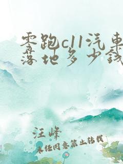 零跑c11汽车落地多少钱
