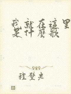 我就在这里等你是什么歌 我就在这里等你是什么歌