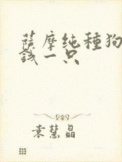 萨摩纯种狗多少钱一只