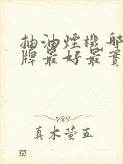 抽油烟机哪个品牌最好最实用
