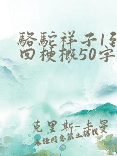 骆驼祥子1到5回梗概50字