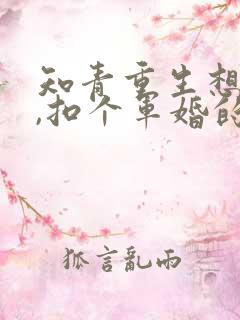知青重生想逍遥,扣个军婚的小说