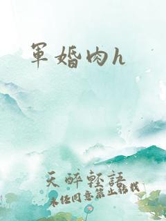 军婚肉h