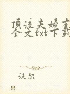 顶流夫妇有点甜全文txt下载