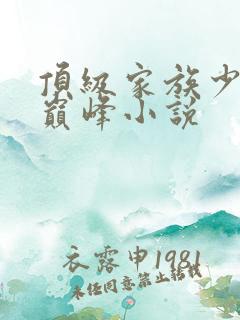 顶级家族少爷的巅峰小说