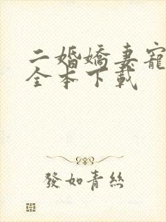 二婚娇妻宠上瘾全本下载
