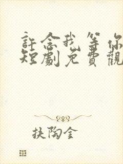 许念我等你十年短剧免费观看