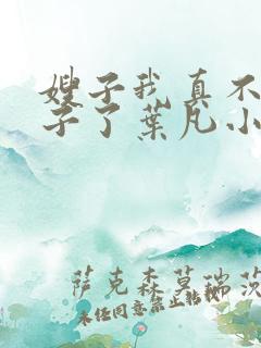 嫂子我真不是傻子了叶凡小说全集