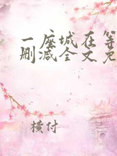 一座城在等你无删减全文免费阅读