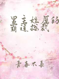 男主姓厉的小说霸道总裁