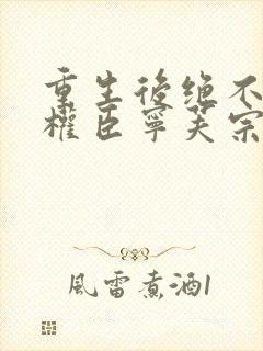 重生后绝不嫁给权臣宁芙宗肆全文小说