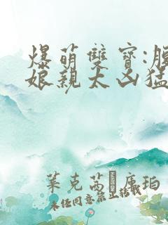 爆萌双宝:腹黑娘亲太凶猛小说 爆萌双宝:腹黑娘亲太凶猛小说