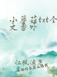 小蘑菇txt全文番外