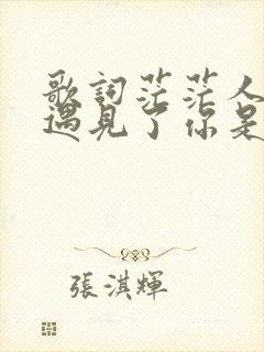 歌词茫茫人海我遇见了你是什么歌
