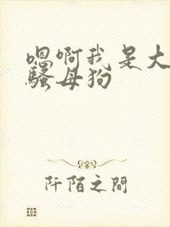 嗯啊我是大奶子骚母狗 嗯啊我是大奶子骚母狗