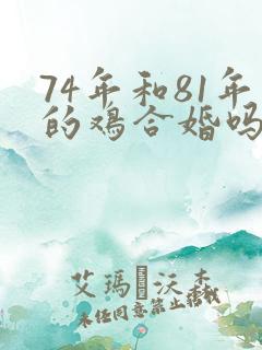 74年和81年的鸡合婚吗