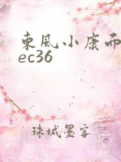 东风小康面包车ec36