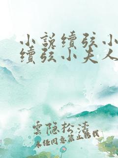 小说续弦小夫人续弦小夫人