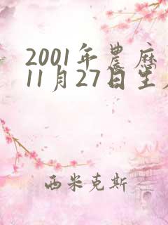 2001年农历11月27日生辰八字算命