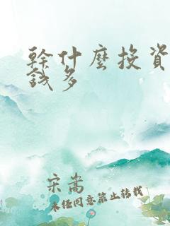 干什么投资少挣钱多