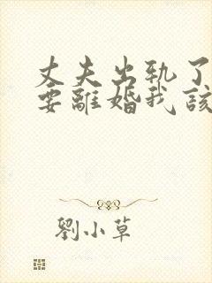 丈夫出轨了现在要离婚我该怎么做
