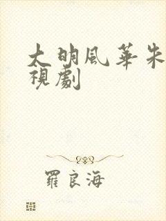 大明风华朱棣电视剧