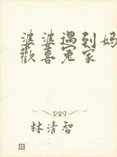 婆婆遇到妈妈之欢喜冤家