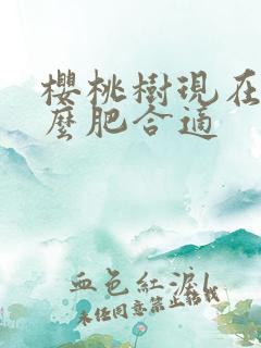 樱桃树现在施什么肥合适