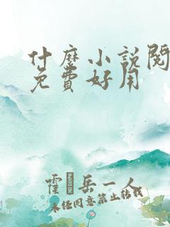 什么小说阅读器免费好用