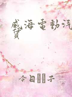 威海电动汽车租赁