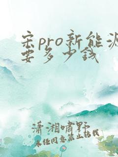 宋pro新能源要多少钱