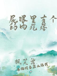 屁眼里有个软软的肉疙瘩