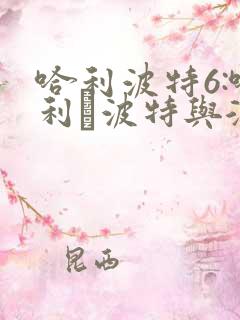 哈利波特6:哈利·波特与混血王子