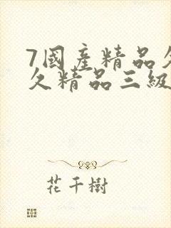 7国产精品久久久精品三级