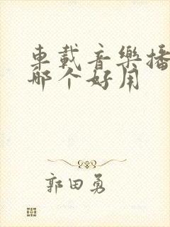 车载音乐播放器哪个好用