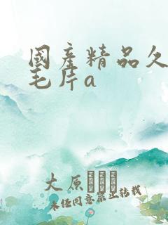 国产精品久久久毛片a 国产精品久久久毛片a