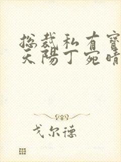 总裁私有宝贝穆天阳丁宛晴