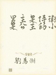 男主是侍卫女主是公主的小说