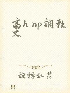 高h np调教文